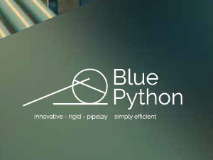 Blue Python